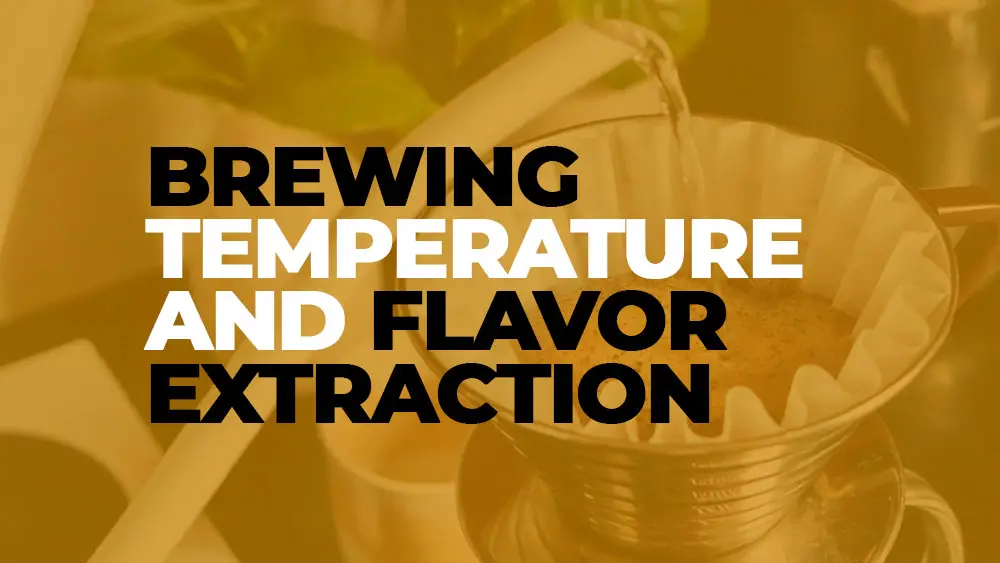 Brewing Temperature and Flavor Extraction