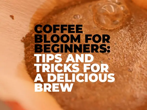 Coffee-Bloom-for-Beginners-Tips-and-Tricks-for-a-Delicious-Brew