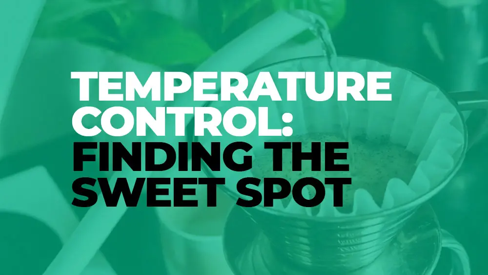 Temperature Control: Finding the Sweet Spot