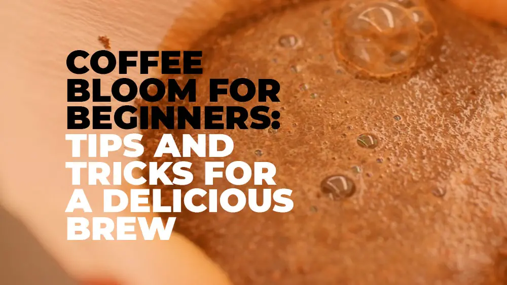 Tips for Achieve an Ideal Coffee Bloom