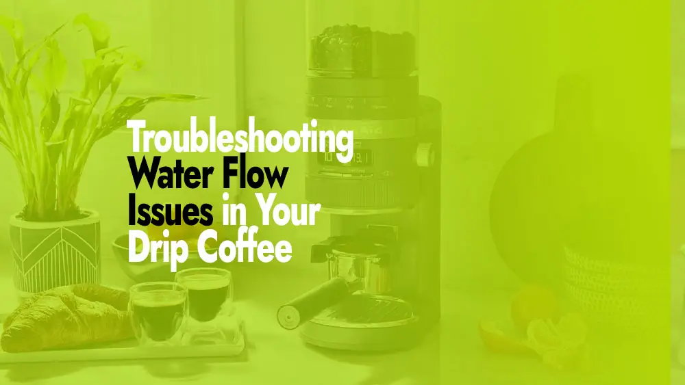Water Flow Issues in Your Drip Coffee Maker