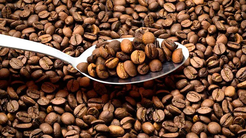 Determine if Coffee Beans Have Gone Bad