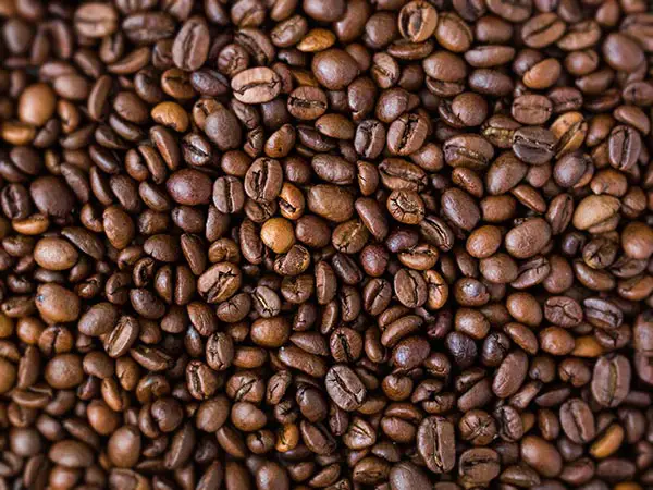 How long do coffee beans last