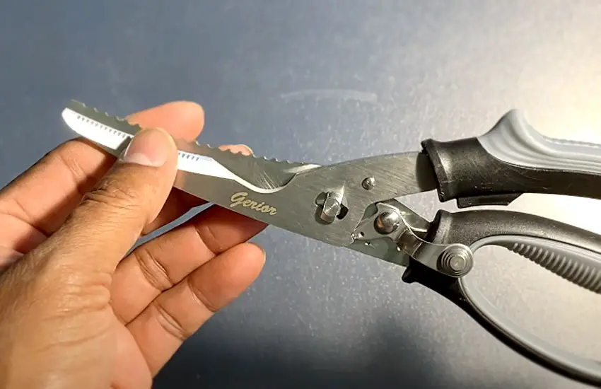 How to Clean Kitchen Shears