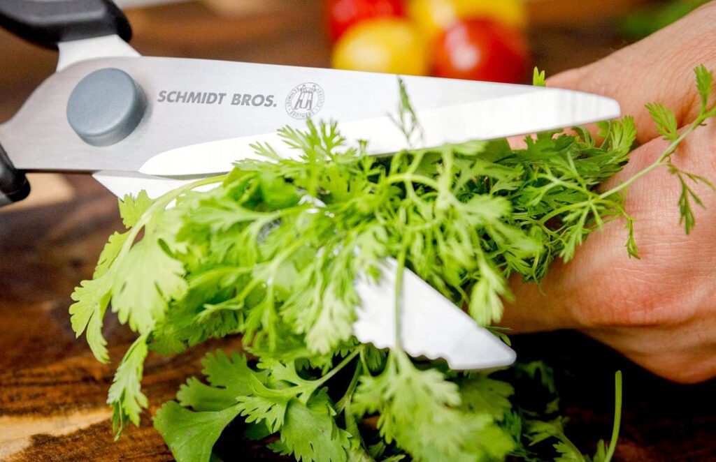 How to Clean Kitchen Shears