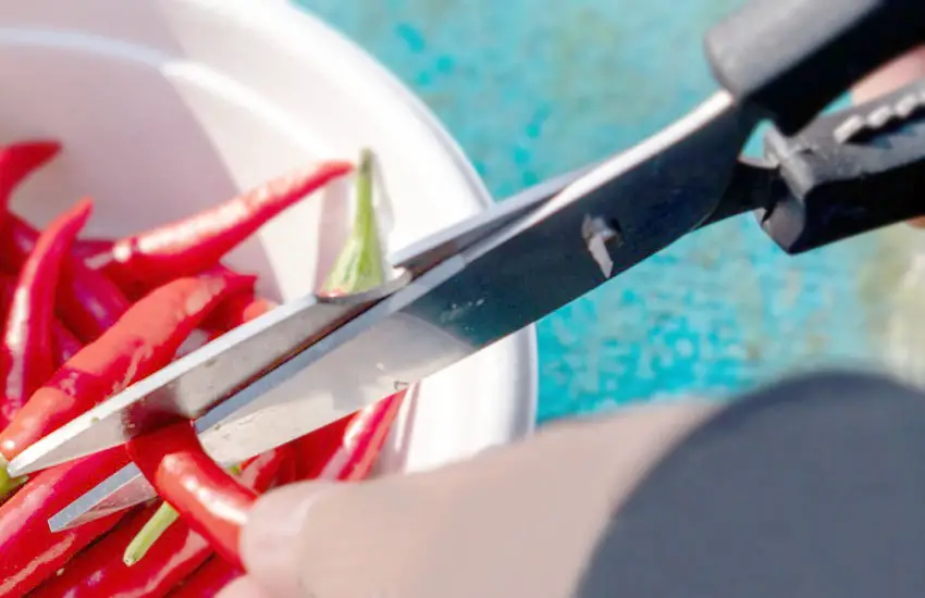 How to Loosen Kitchen Scissors