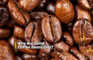 Why Are Some Coffee Beans Oily