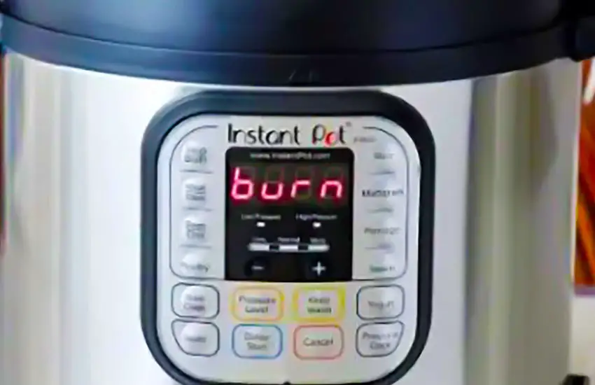 Instant Pot Burn Message