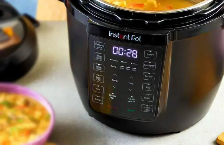 Instant Pot Water Leaks from Bottom