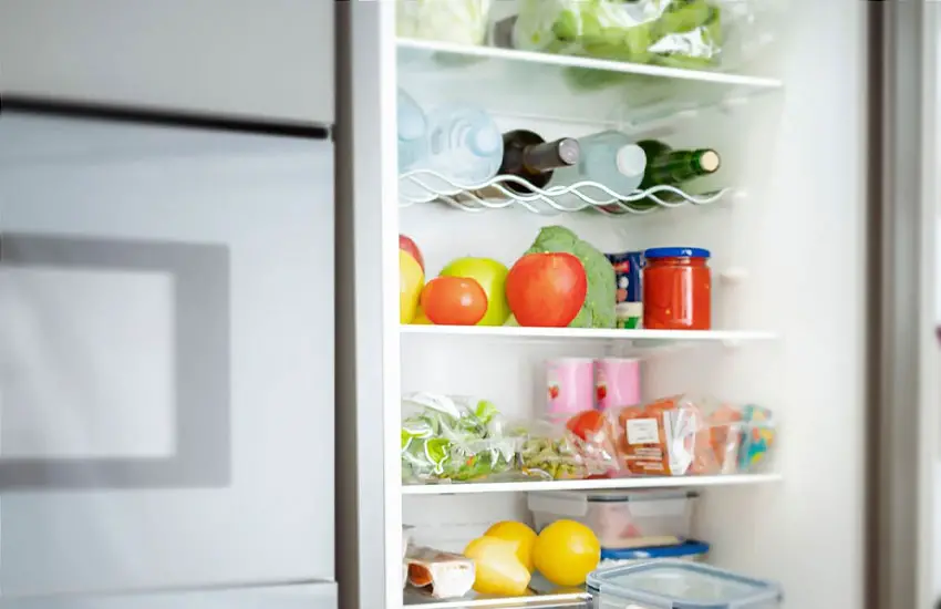 Refrigerator Leaking Water