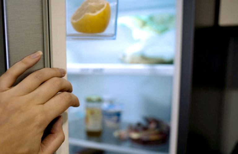 Refrigerator Making Loud Noise