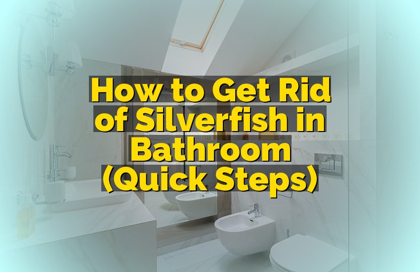 How to Get Rid of Silverfish in Bathroom (Quick Steps)