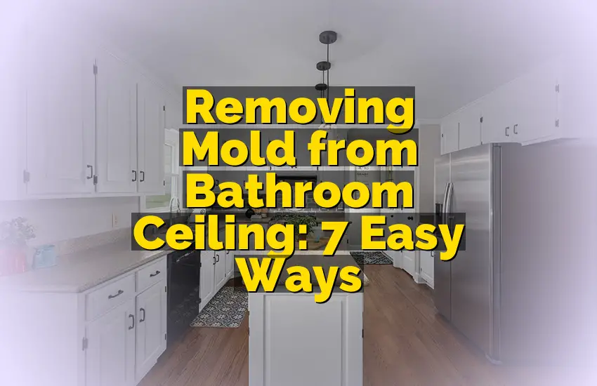 Removing Mold from Bathroom Ceiling: 7 Easy Ways