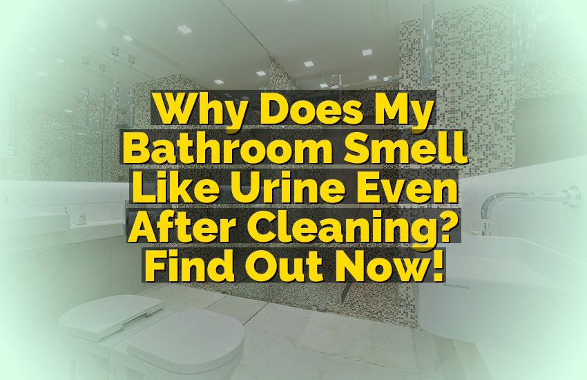 Why Does My Bathroom Smell Like Urine Even After Cleaning?