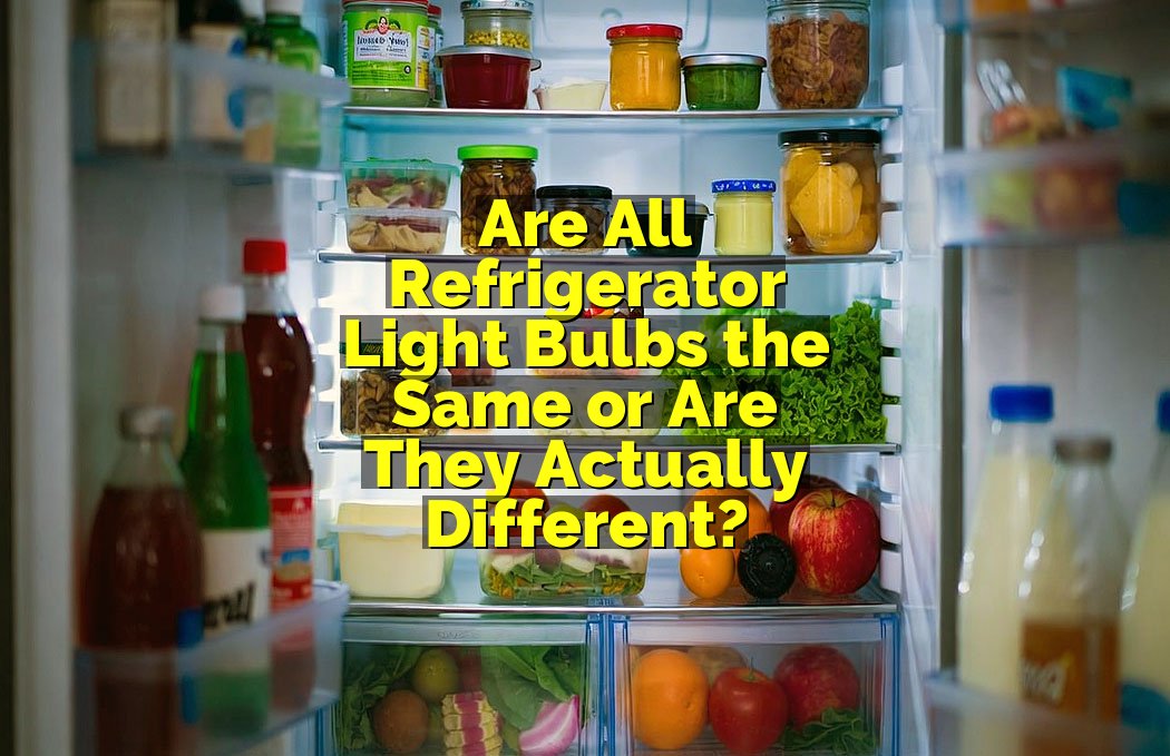 Are All Refrigerator Light Bulbs the Same or Are They Actually Different?