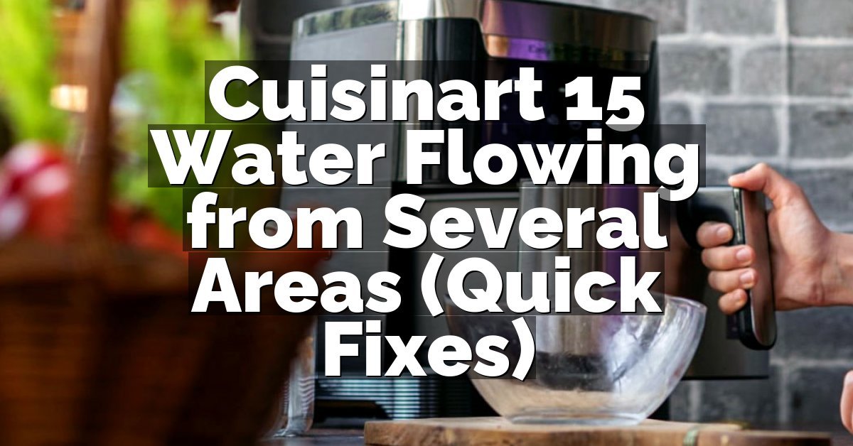 Cuisinart 15 Water Flowing from Several Areas (Quick Fixes)
